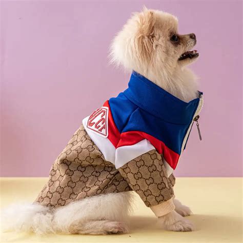 green gucci dog sweater|gucci inspired dog clothes.